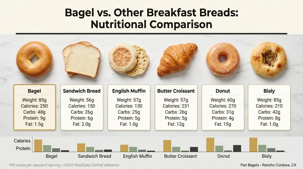 Bagel vs Other Breakfast Breads